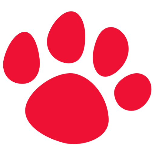 Cat paw
